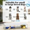 Outdoor kennel, dog house, dog cage, silver