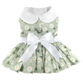 Mint Green Daisy Dog Dress with Matching Leash (size: medium)